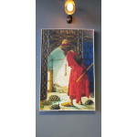 KAPLUMBAĞA TERBİYECİSİ DOKULU İŞLEM