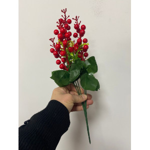 Yılbaşı Çiçeği Kokina  38CM