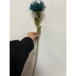 Yapay Protea Çiçeği Tek Dal 73 Cm