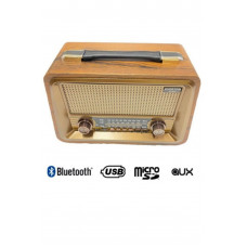 Everton Rt 810 Radyo