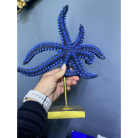Kaideli Dekoratif Deniz Yıldızı