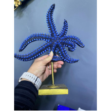Kaideli Dekoratif Deniz Yıldızı