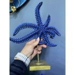 Kaideli Dekoratif Deniz Yıldızı