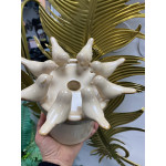 Seramik Kuşlu Mumluk 18*18*14 cm 