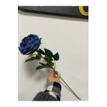 Mavi Austın Gülü 60cm