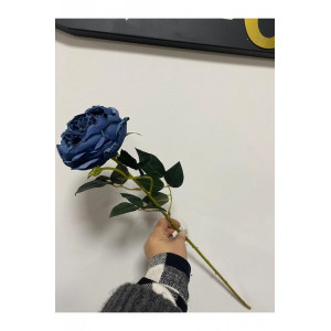 Mavi Austın Gülü 60cm
