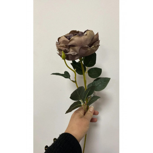 Kahve Austın Gülü 60 cm Kahve Austın Gülü 60 cm