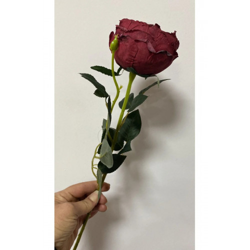 Kırmızı Austın Gülü 60cm Kırmızı Austın Gülü 60cm