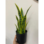 Yapay Saksılı Sansevıera Çiçeği 39 cm